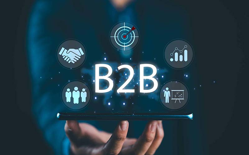 FleetBiz B2B