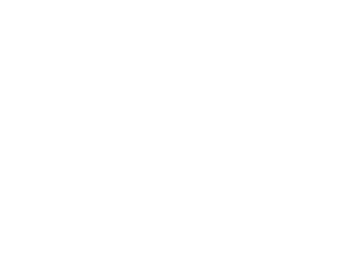 Fleet Group